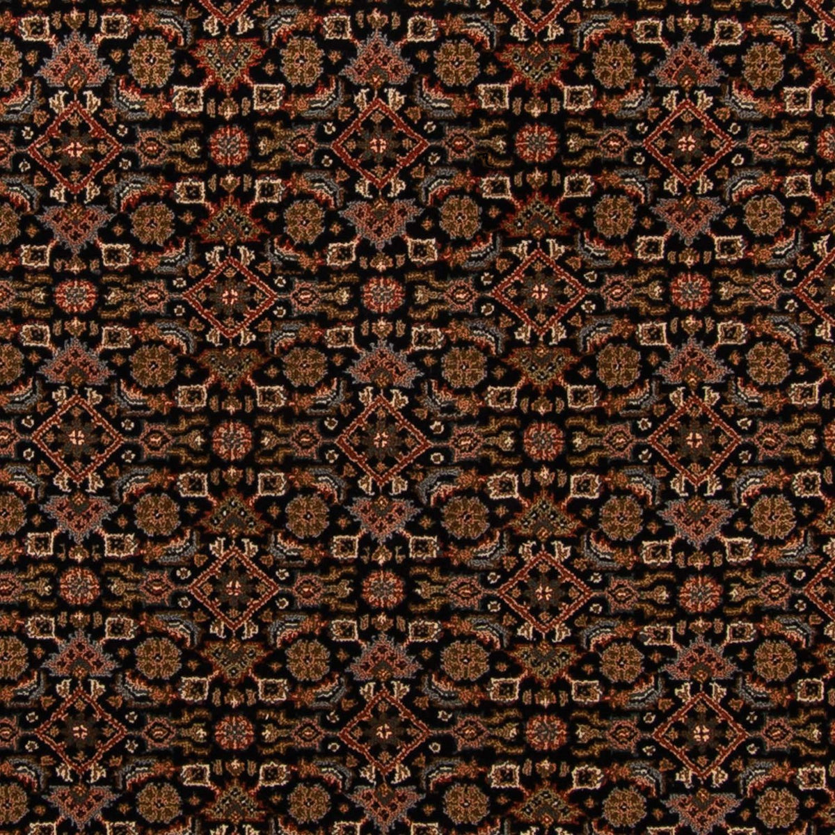 Orientalsk tæppe - Bijar - Indus - 306 x 254 cm - mørkeblå