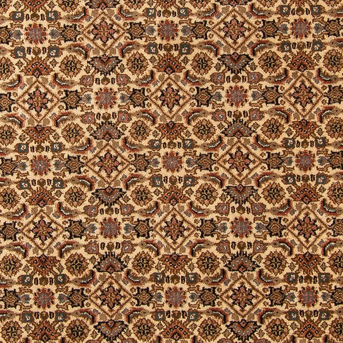 Orientalsk tæppe - Bijar - Indus - 309 x 250 cm - beige