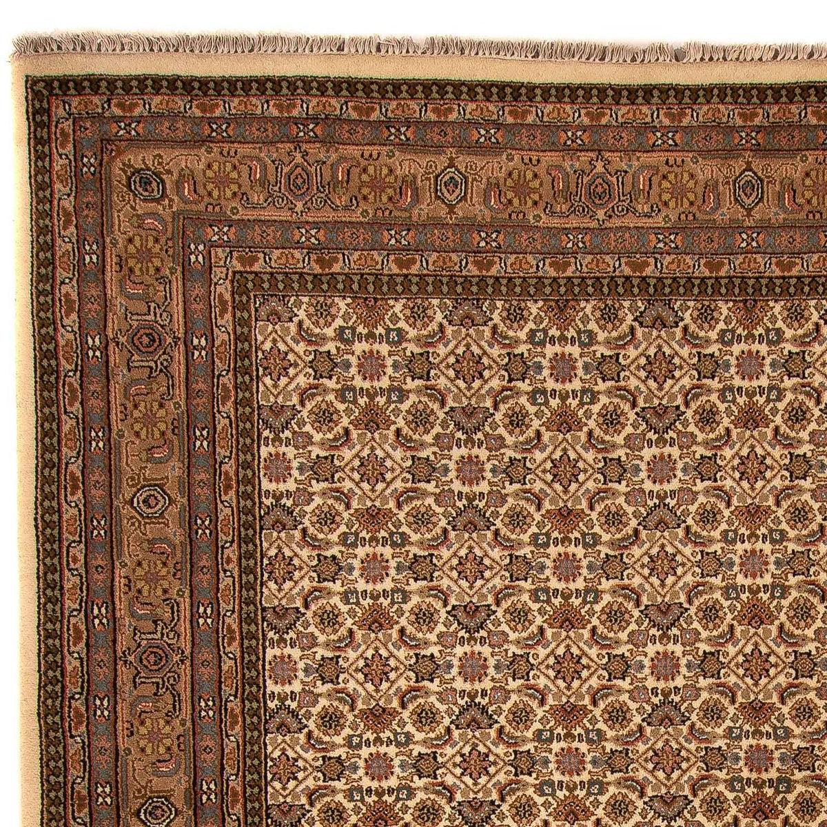 Orientalsk tæppe - Bijar - Indus - 309 x 250 cm - beige