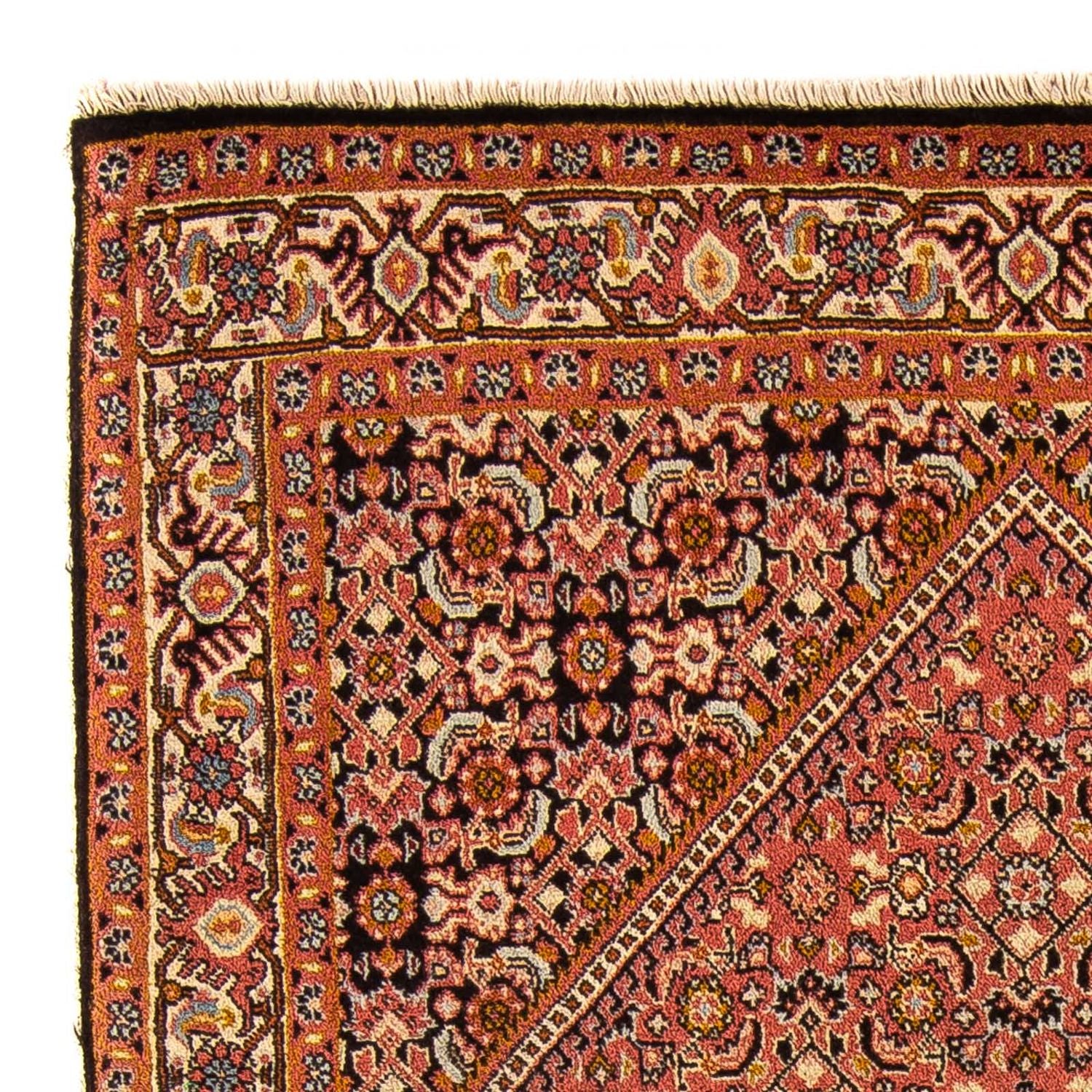 Persisk tæppe - Bijar - Royal - 143 x 88 cm - lys brun