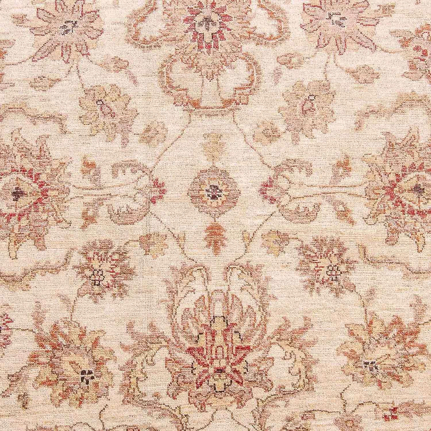 Ziegler Carpet 309x239cm - Orientalsk tæppe
