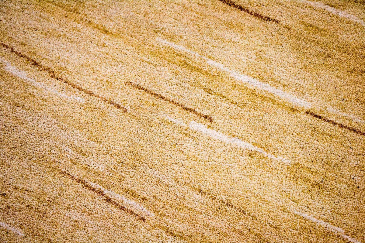 Gabbeh-tæppe - Indus - 242 x 150 cm - flerfarvet