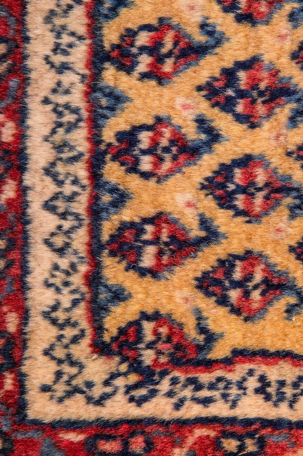 Persisk tæppe - Nomadisk - 288 x 238 cm - beige