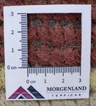 Nepal Tæppe - 140 x 70 cm - flerfarvet