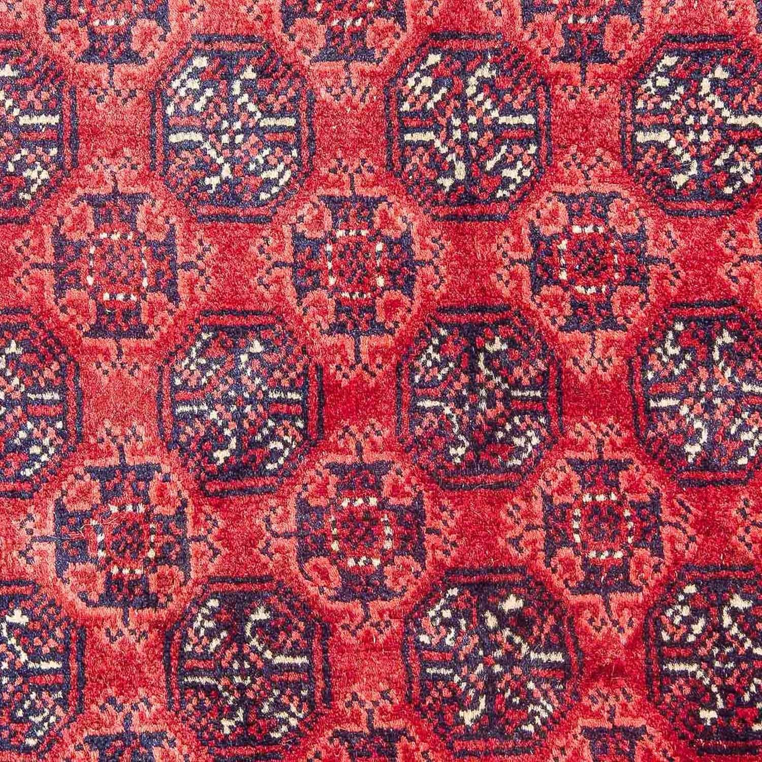 Afghansk tæppe - Bukhara - 299 x 195 cm - rød