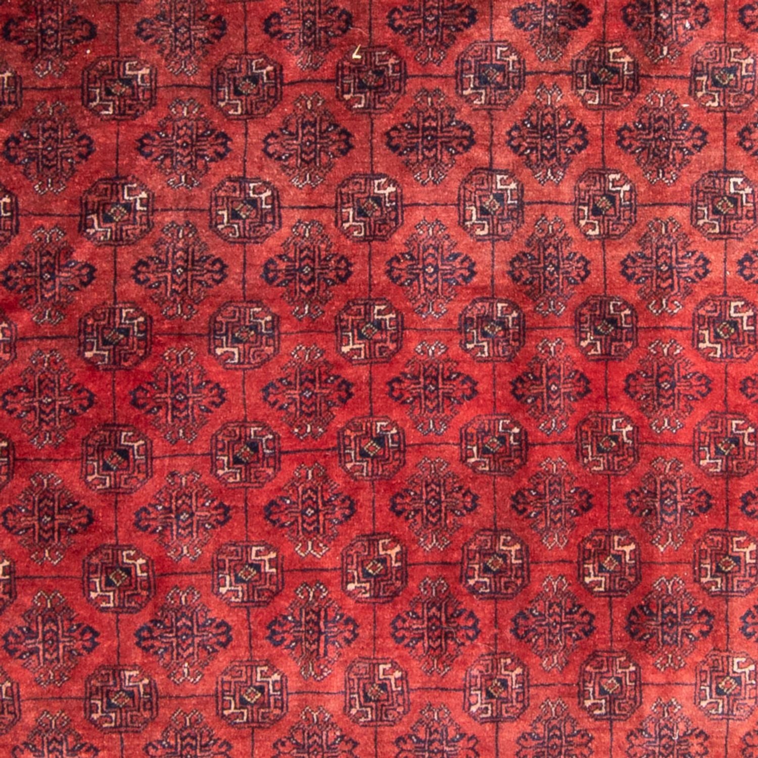 Turkaman-tæppe - 305 x 202 cm - rød