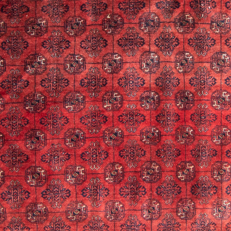 Turkaman-tæppe - 305 x 202 cm - rød