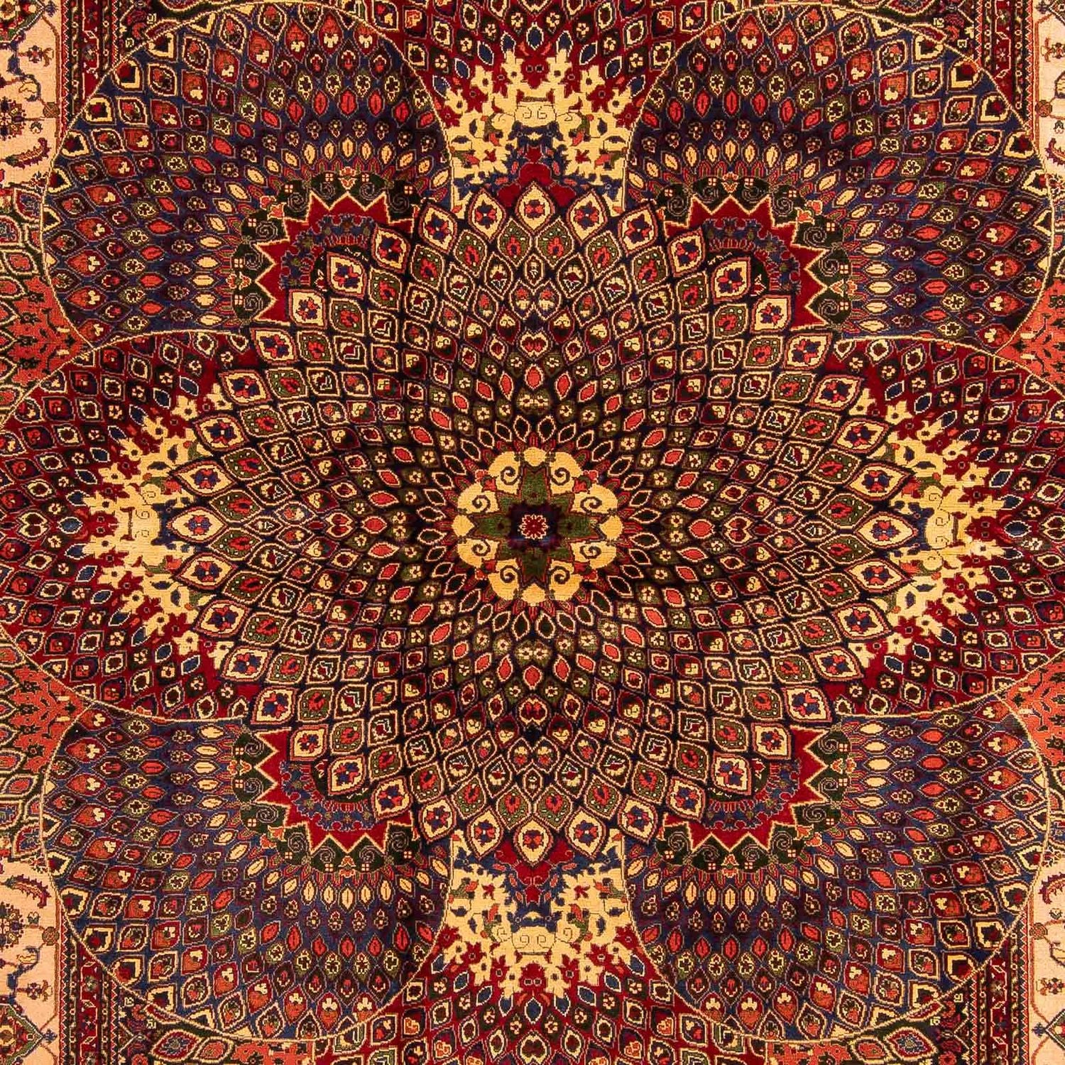 Afghansk tæppe - 279 x 198 cm - flerfarvet