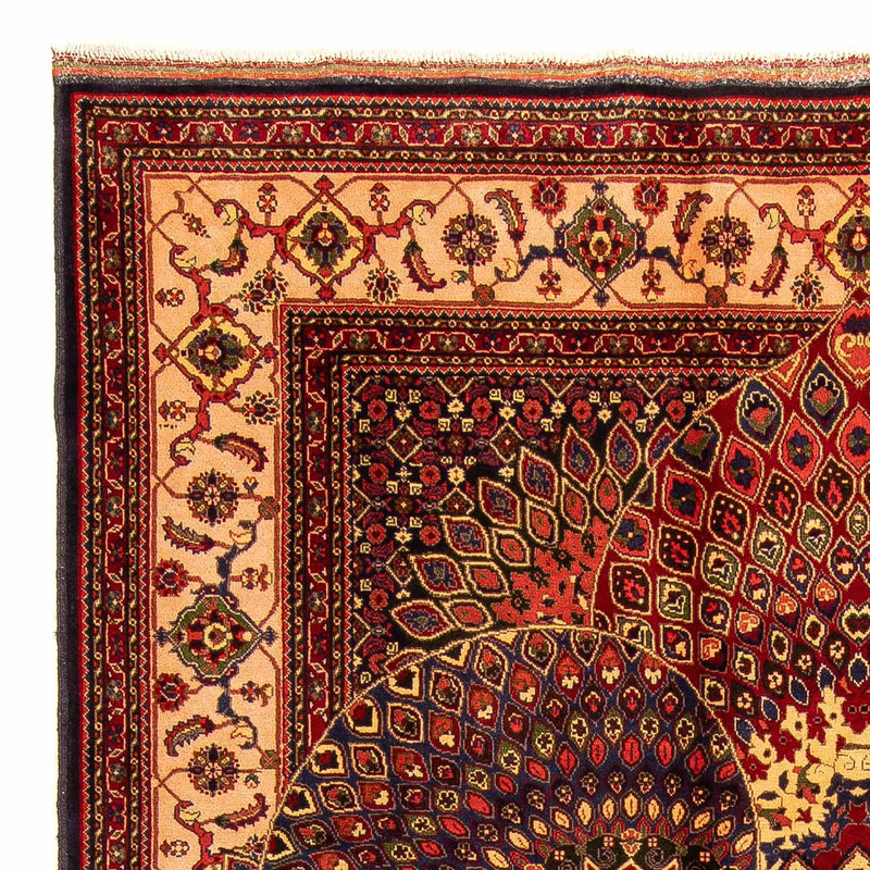 Afghansk tæppe - 279 x 198 cm - flerfarvet