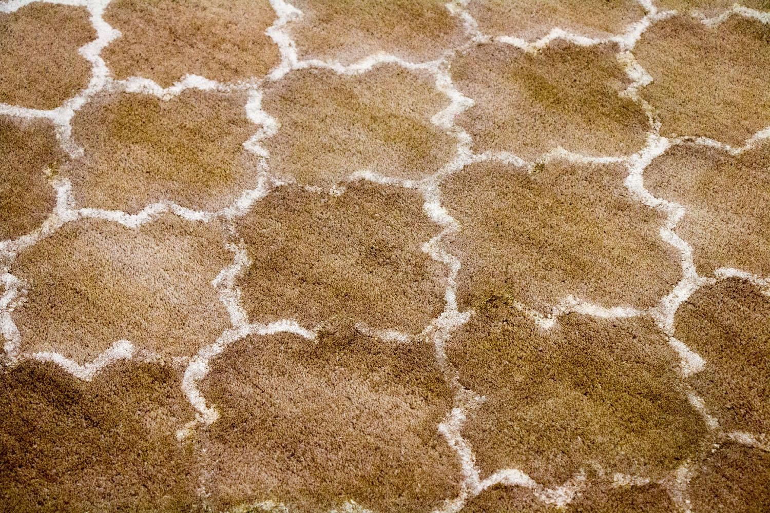 Designer tæppe - 230 x 162 cm - beige