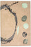 Designer tæppe - 179 x 121 cm - beige