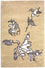 Designer tæppe - 241 x 154 cm - beige