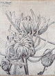 Designer tæppe 300x240cm - Designerteppich