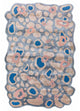 Designer tæppe 270x180cm - Designerteppich