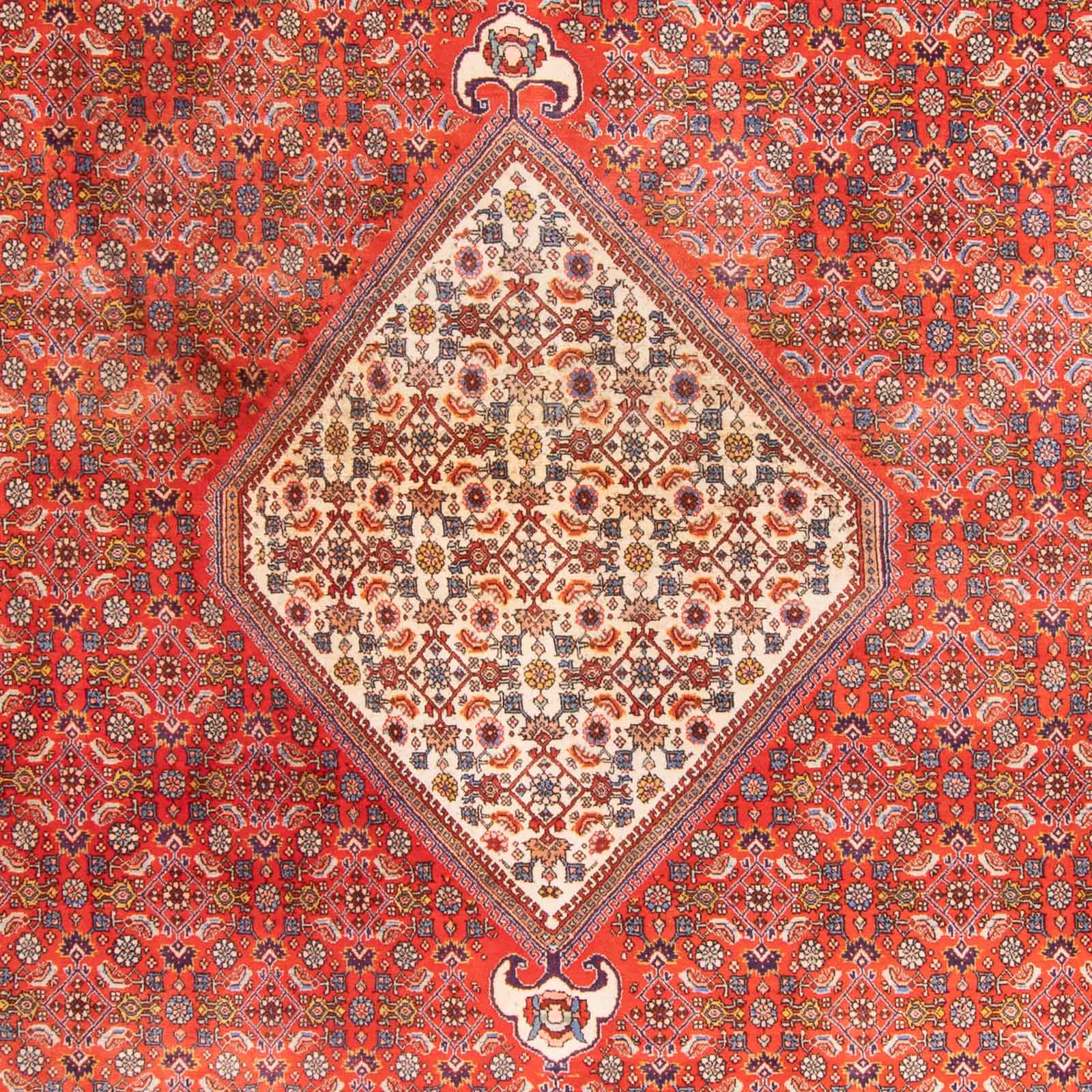 Persisk tæppe - Bijar - 420 x 310 cm - terrakotta
