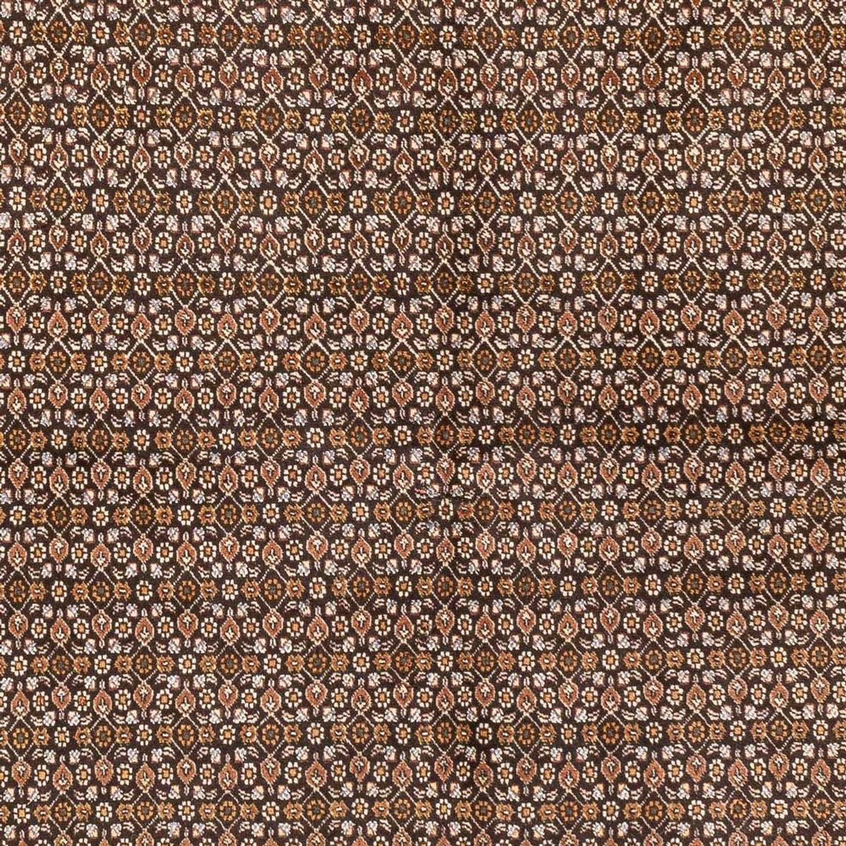 Persisk tæppe - Tabriz - Royal - 195 x 154 cm - mørk beige