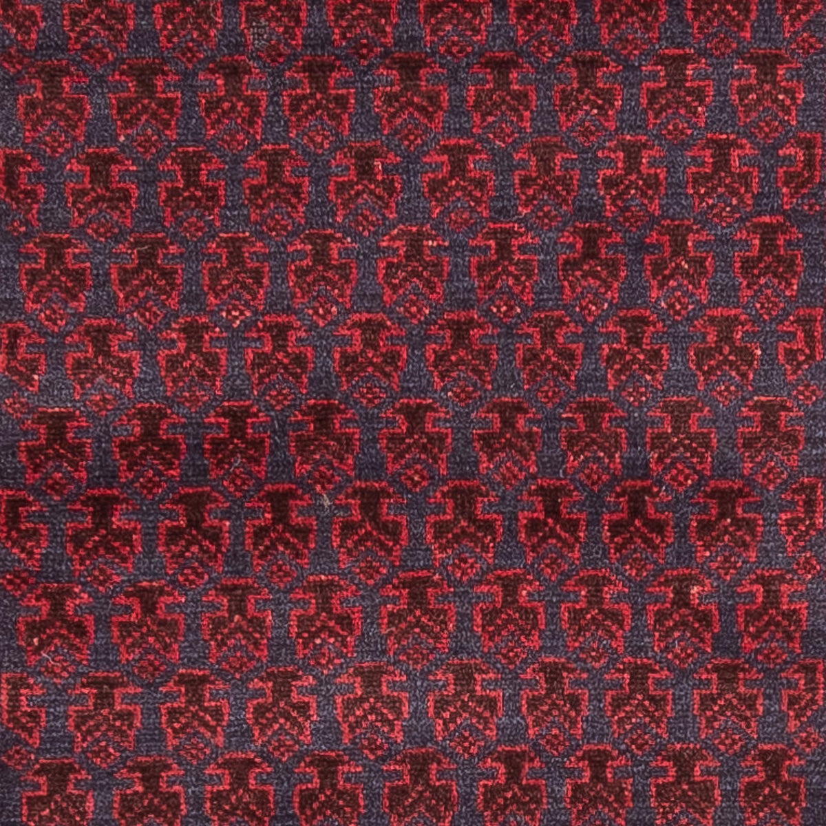 Baluch-tæppe - Bøn tæppe - 140 x 87 cm - blå
