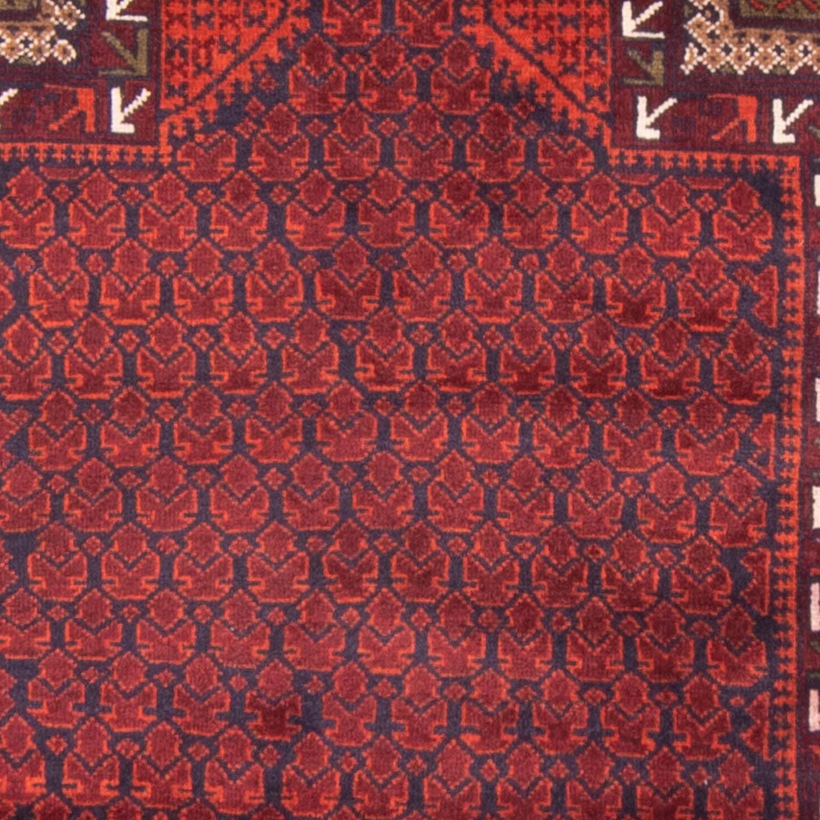 Baluch-tæppe - Bøn tæppe - 150 x 96 cm - rød