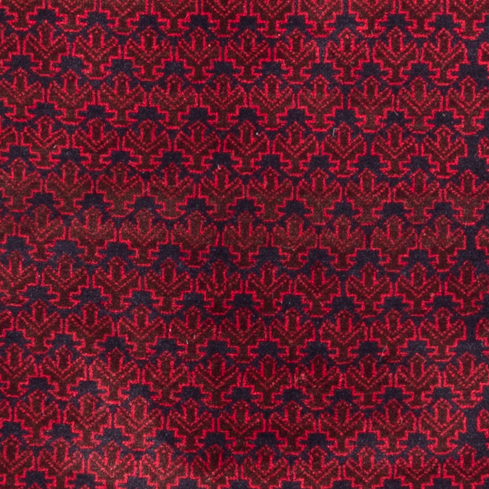 Baluch-tæppe - Bøn tæppe - 142 x 89 cm - blå