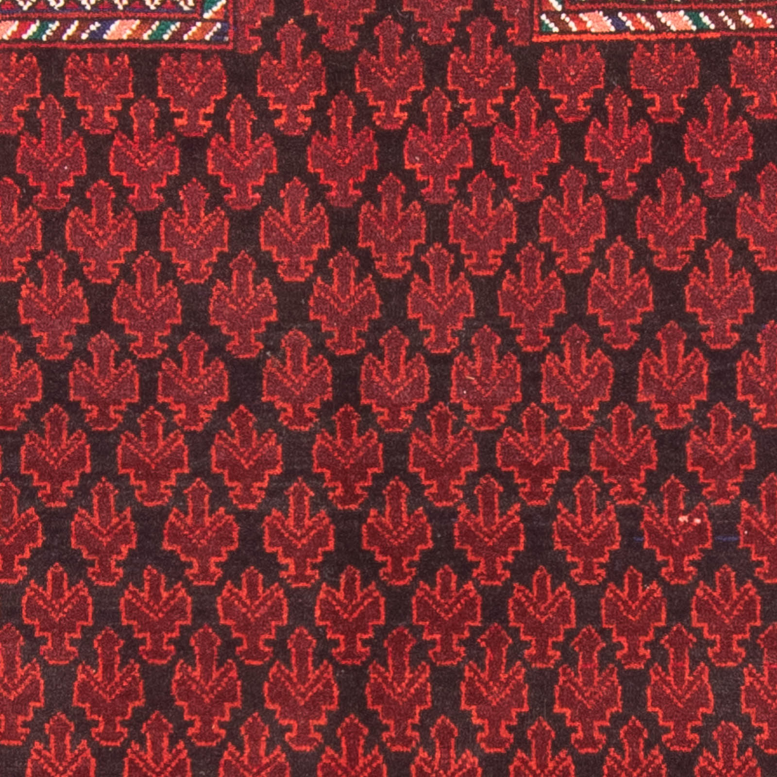 Baluch-tæppe - Bøn tæppe - 155 x 103 cm - rød