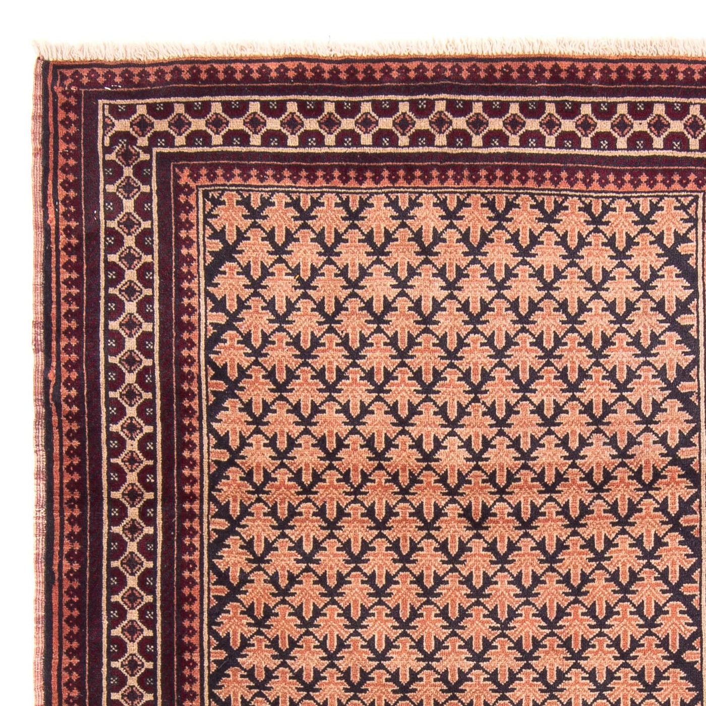 Baluch-tæppe 146x92cm - Orientalsk tæppe