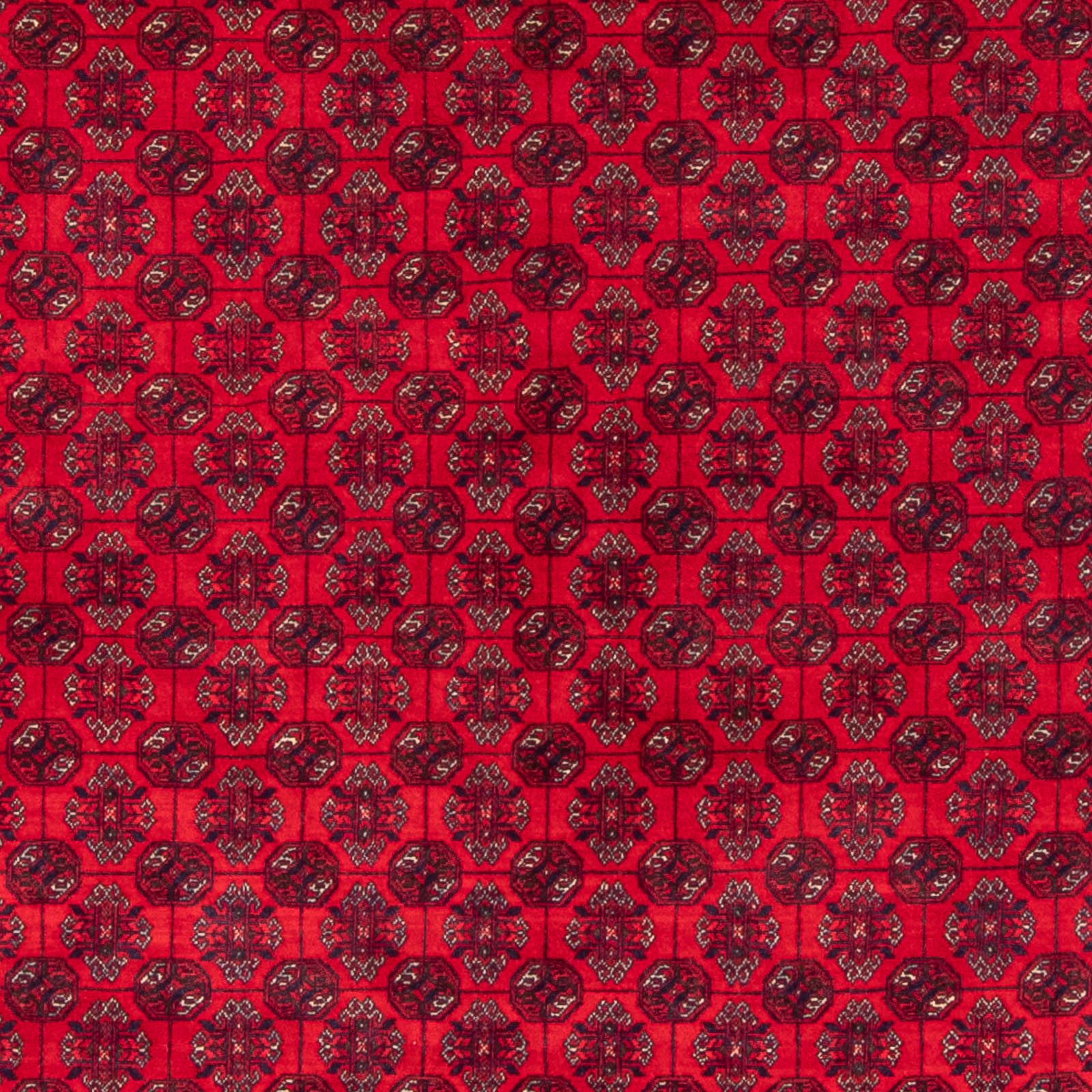 Afghansk tæppe - Bukhara - 290 x 196 cm - rød