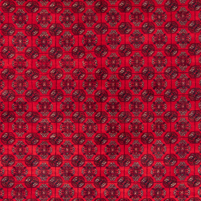 Afghansk tæppe - Bukhara - 290 x 196 cm - rød