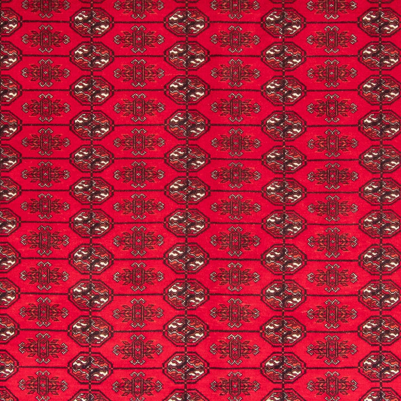 Afghansk tæppe - Bukhara - 282 x 200 cm - rød