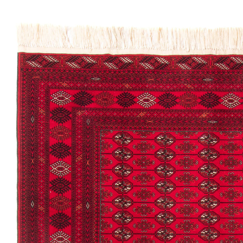 Afghansk tæppe - Bukhara - 282 x 200 cm - rød