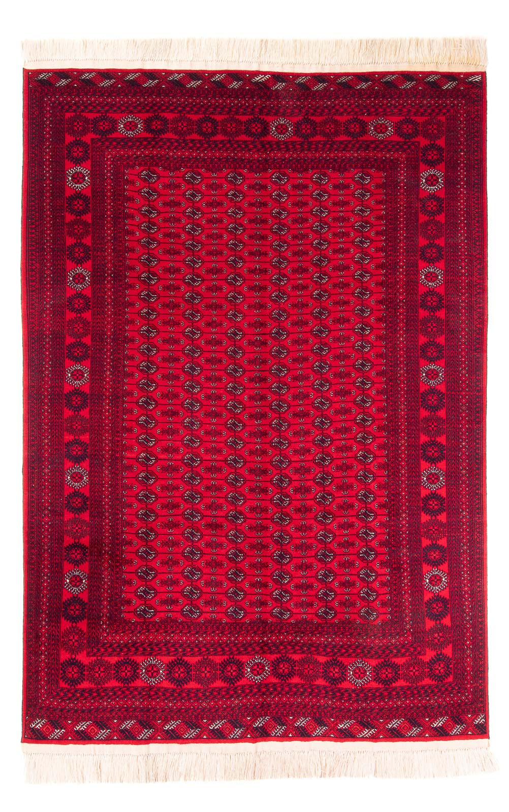 Afghansk tæppe - Bukhara - 292 x 200 cm - rød