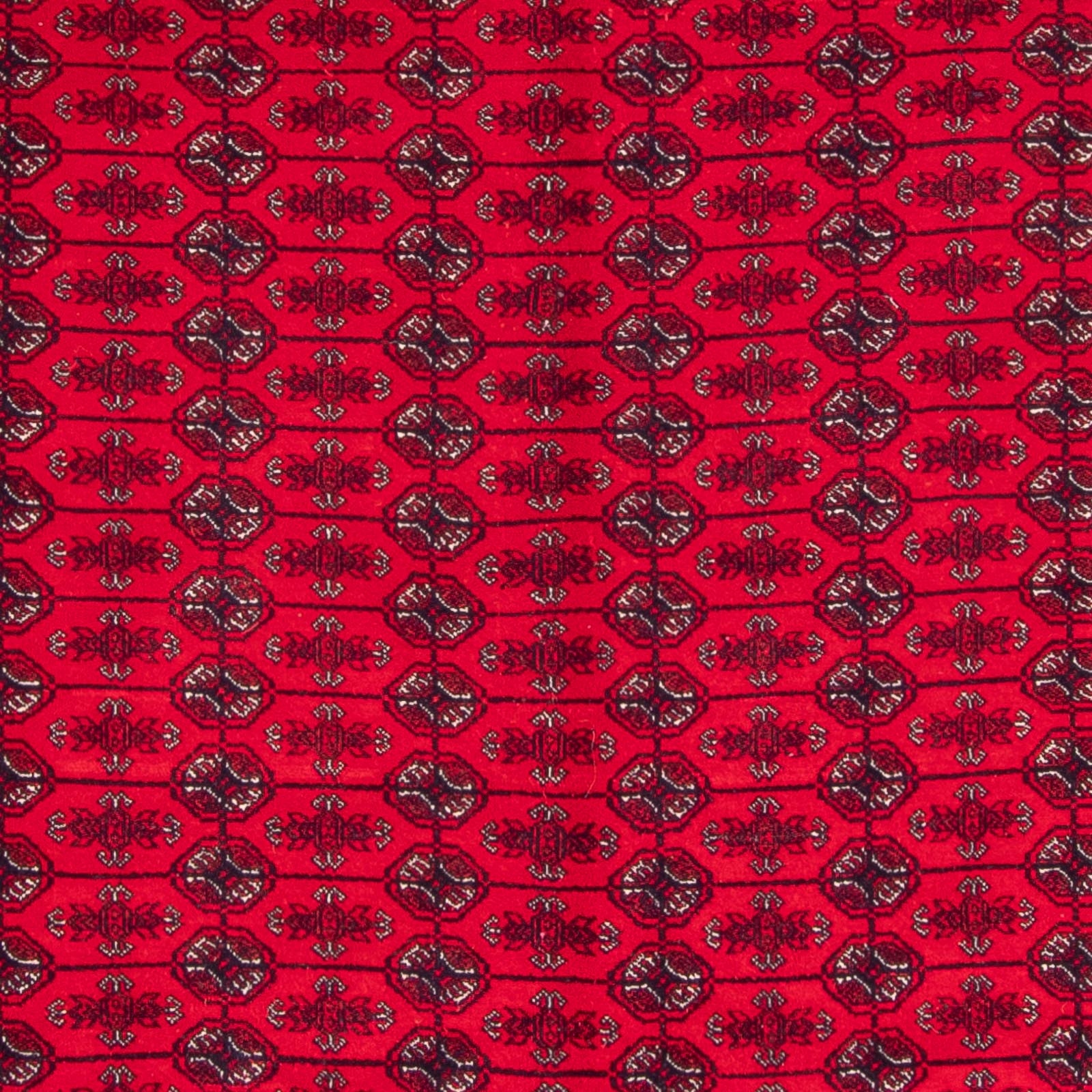 Afghansk tæppe - Bukhara - 292 x 200 cm - rød