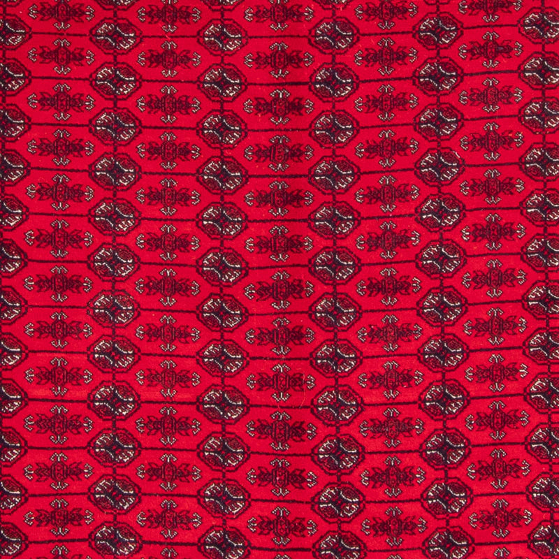 Afghansk tæppe - Bukhara - 292 x 200 cm - rød