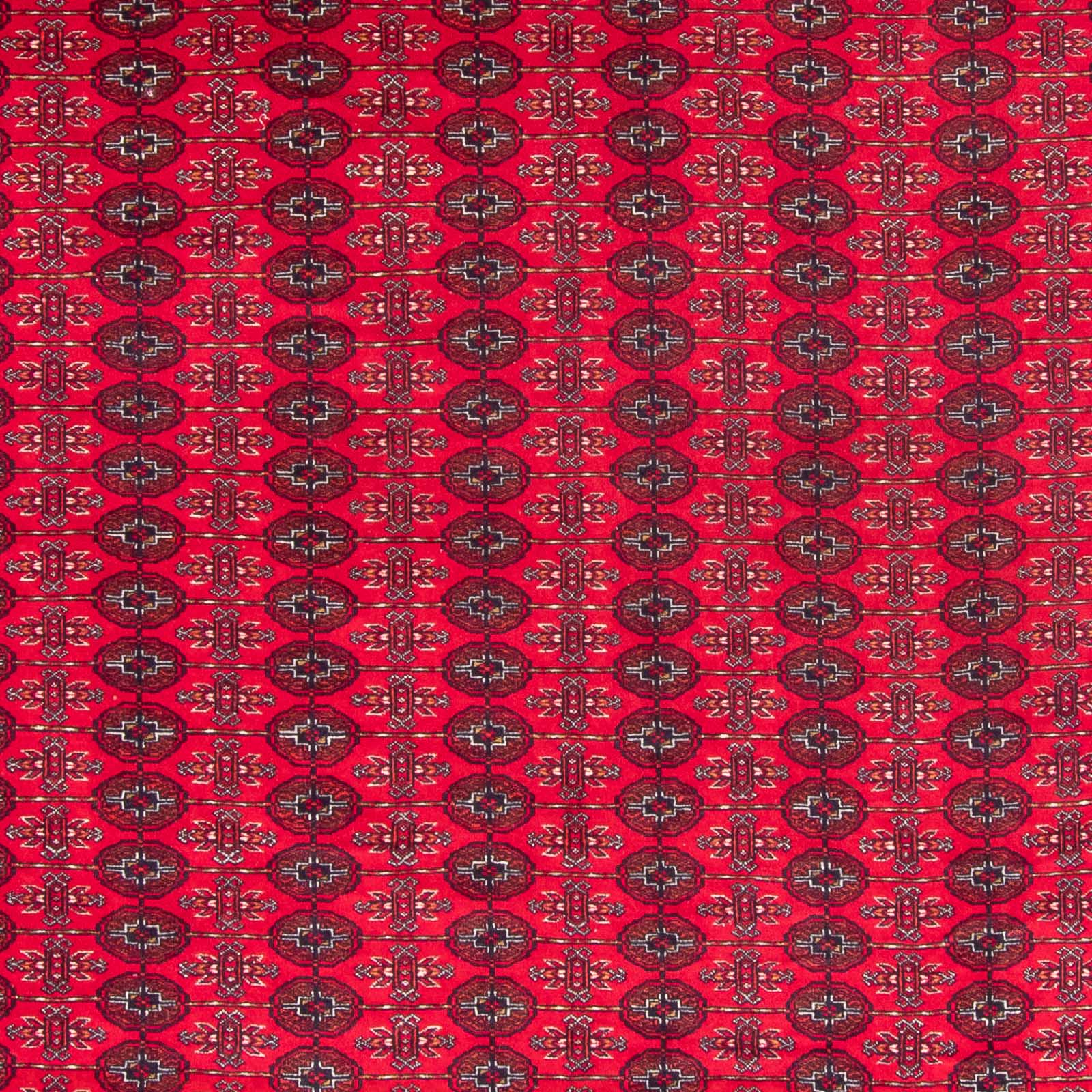 Afghansk tæppe - Bukhara - 370 x 300 cm - rød
