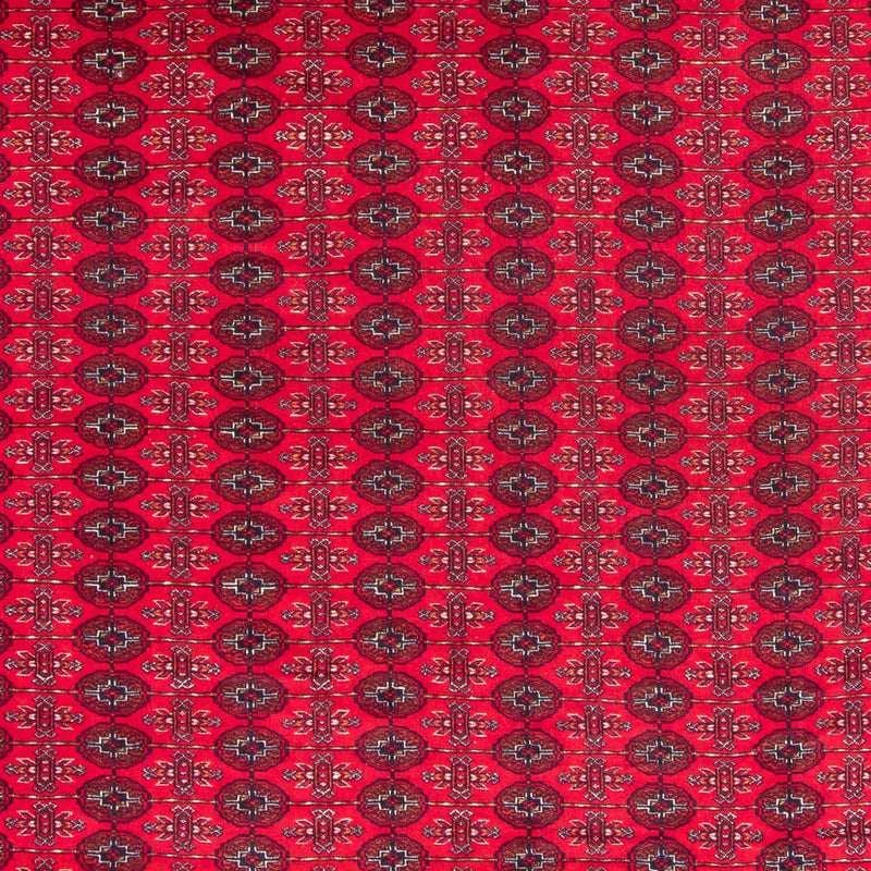 Afghansk tæppe - Bukhara - 370 x 300 cm - rød
