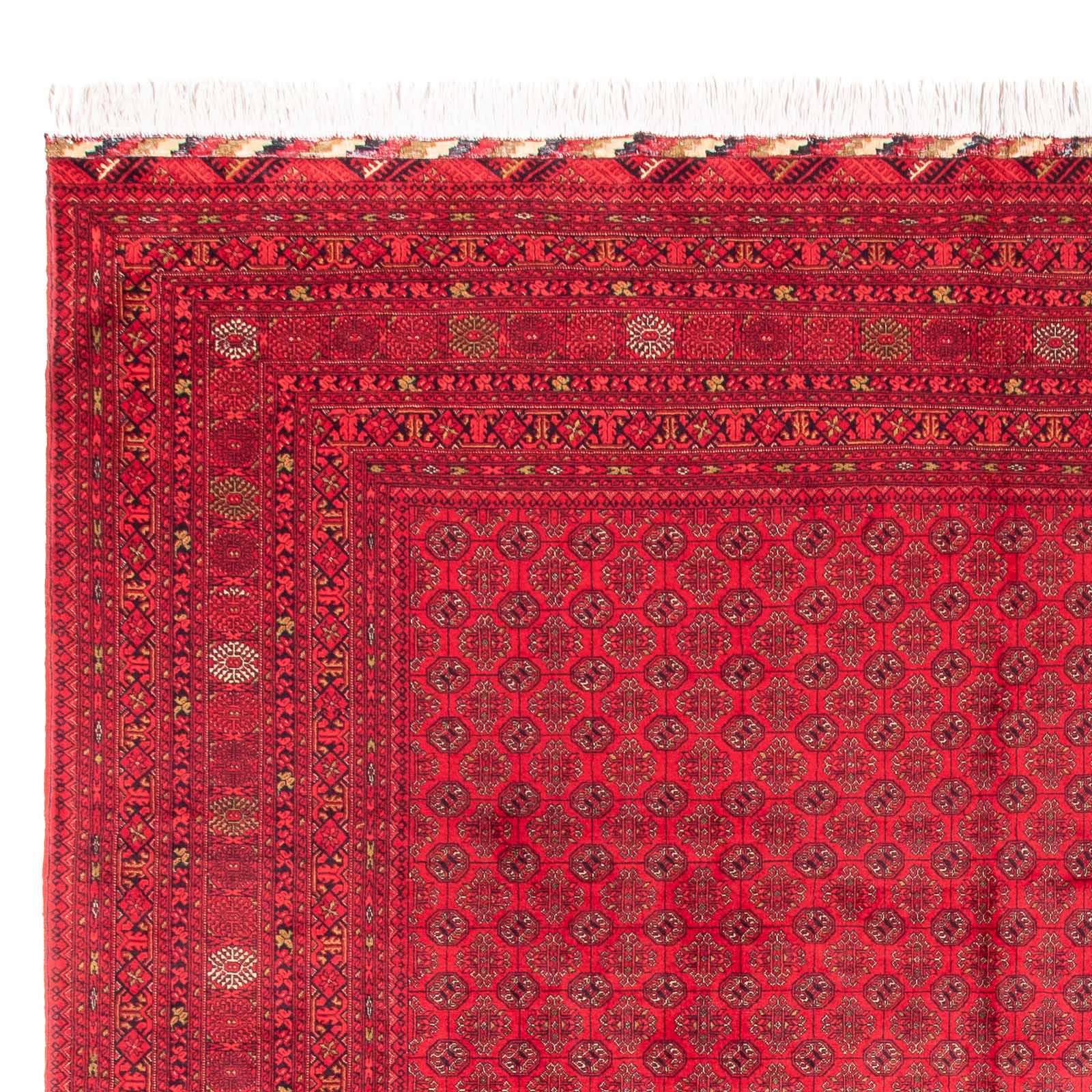 Afghansk tæppe - Bukhara - 385 x 300 cm - rød