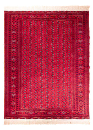 Afghansk tæppe - Bukhara - 395 x 310 cm - rød