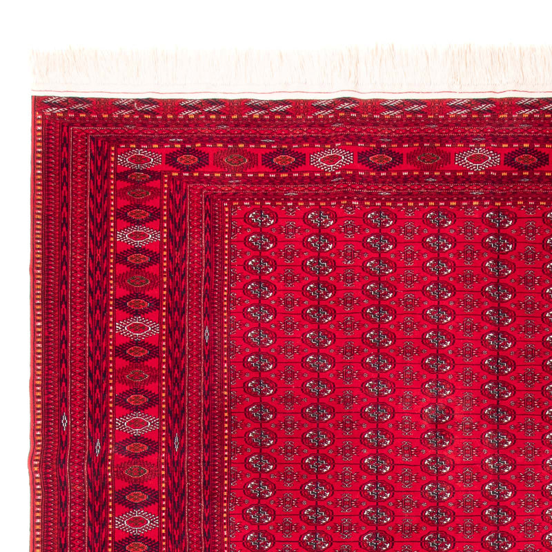Afghansk tæppe - Bukhara - 395 x 310 cm - rød