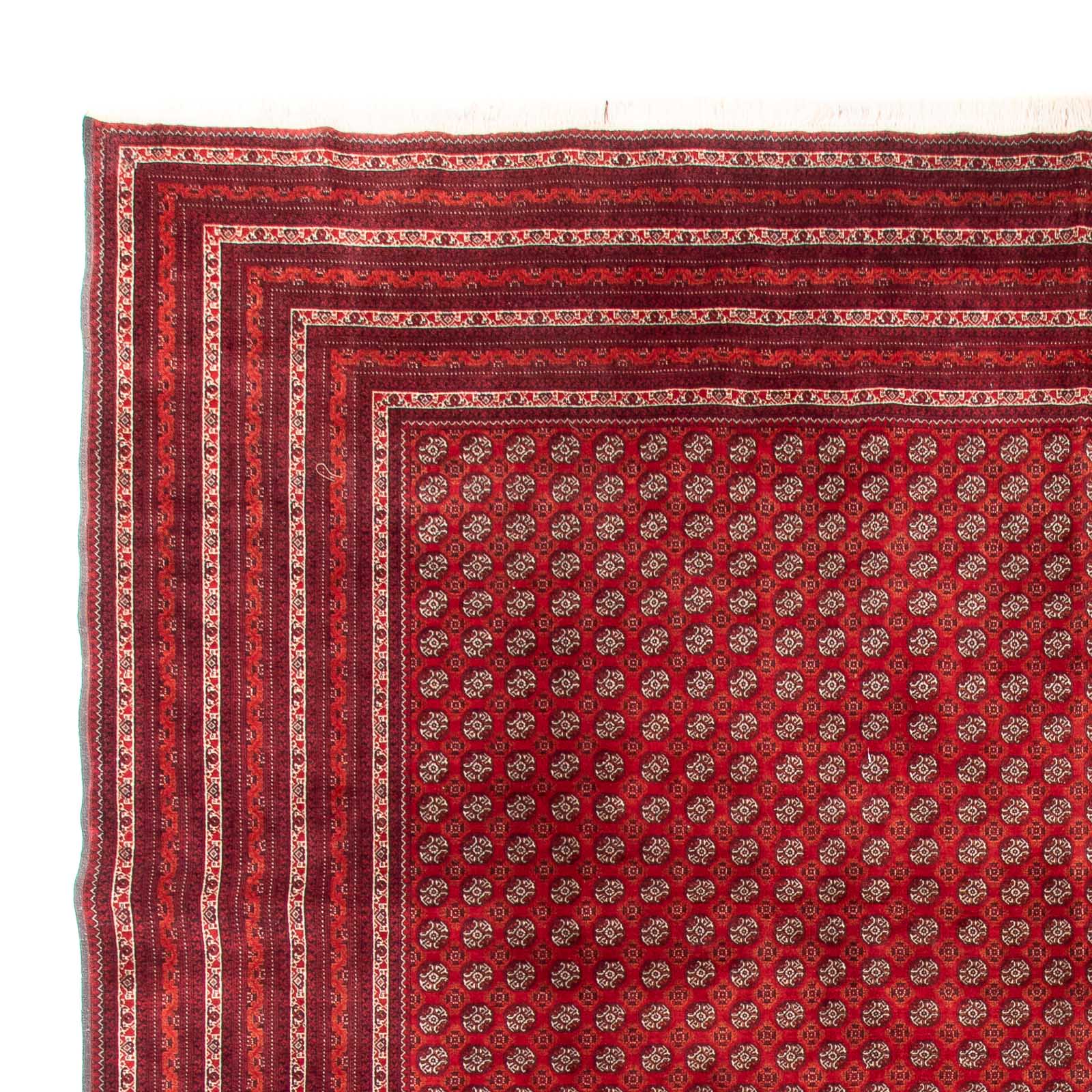 Afghansk tæppe - Bukhara - 375 x 300 cm - rød