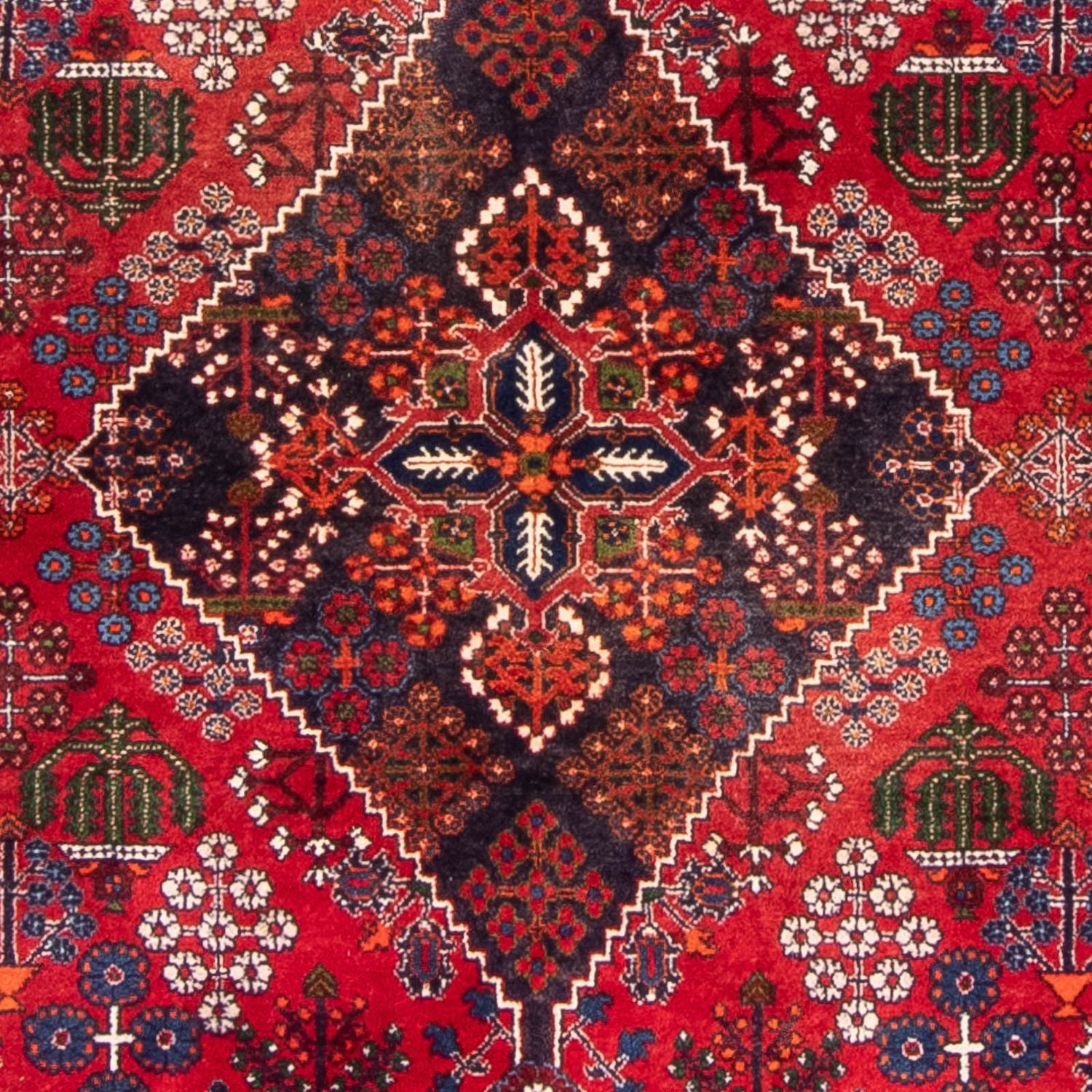 Persisk tæppe - Nomadisk - 280 x 168 cm - rød