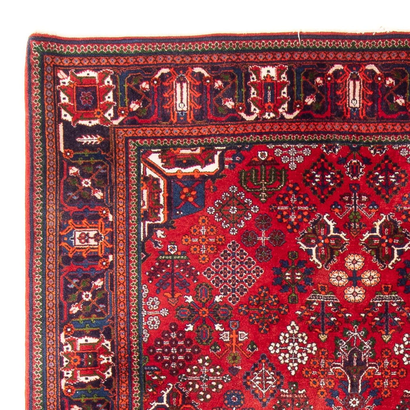 Shiraz Tæppe 280x168cm - Persisk tæppe