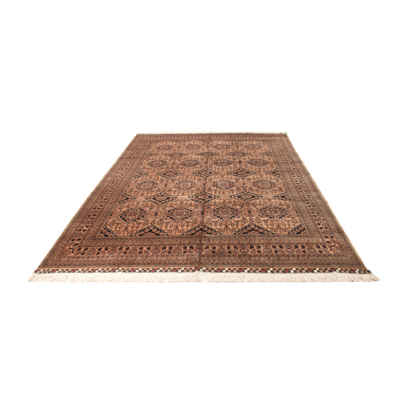 Afghansk tæppe - Bukhara - 344 x 246 cm - mørk beige