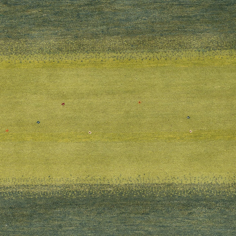 Gabbeh-tæppe - Loribaft Indus - 240 x 170 cm - grøn