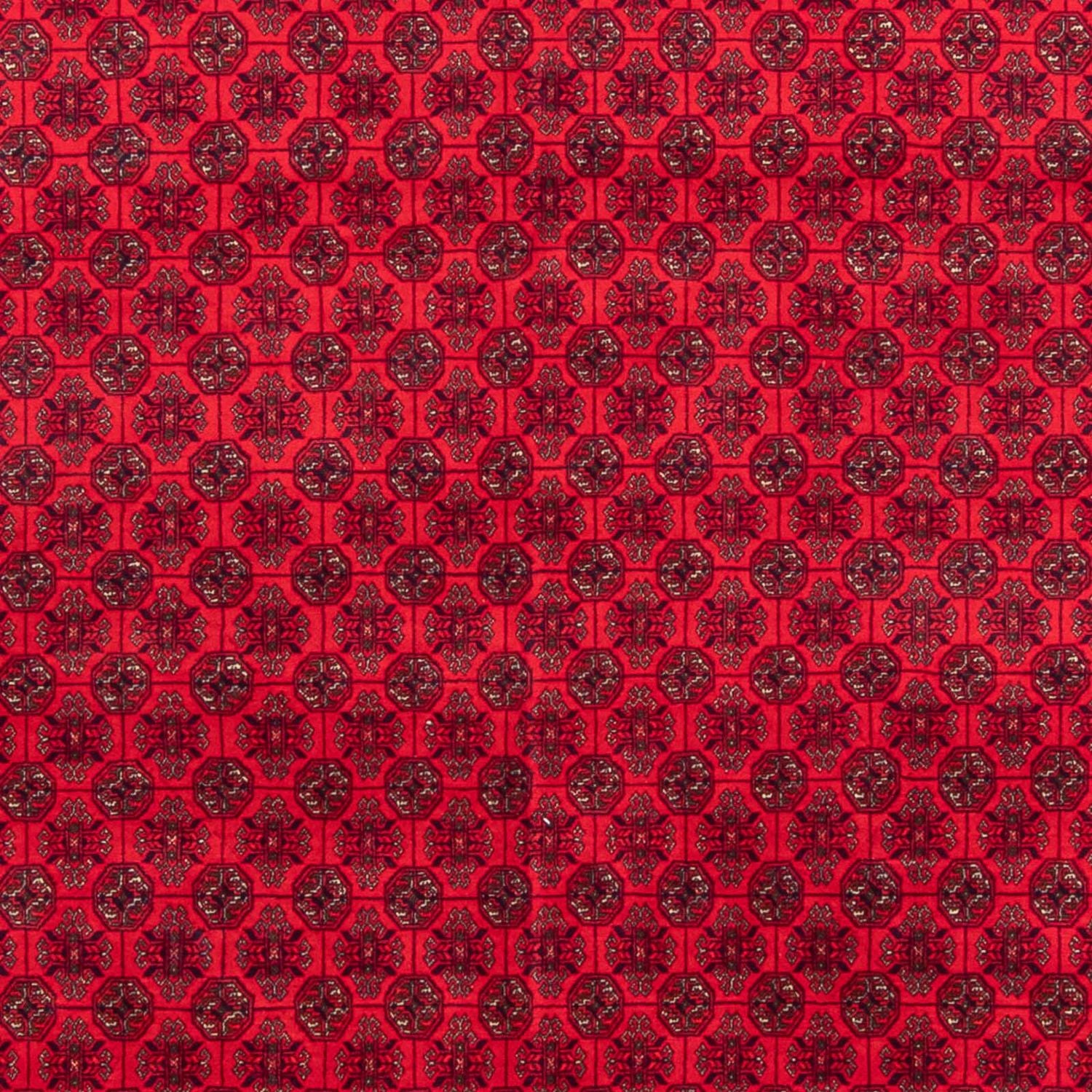 Afghansk tæppe - 295 x 194 cm - rød