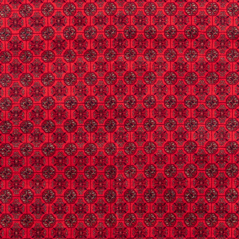 Afghansk tæppe - 295 x 194 cm - rød