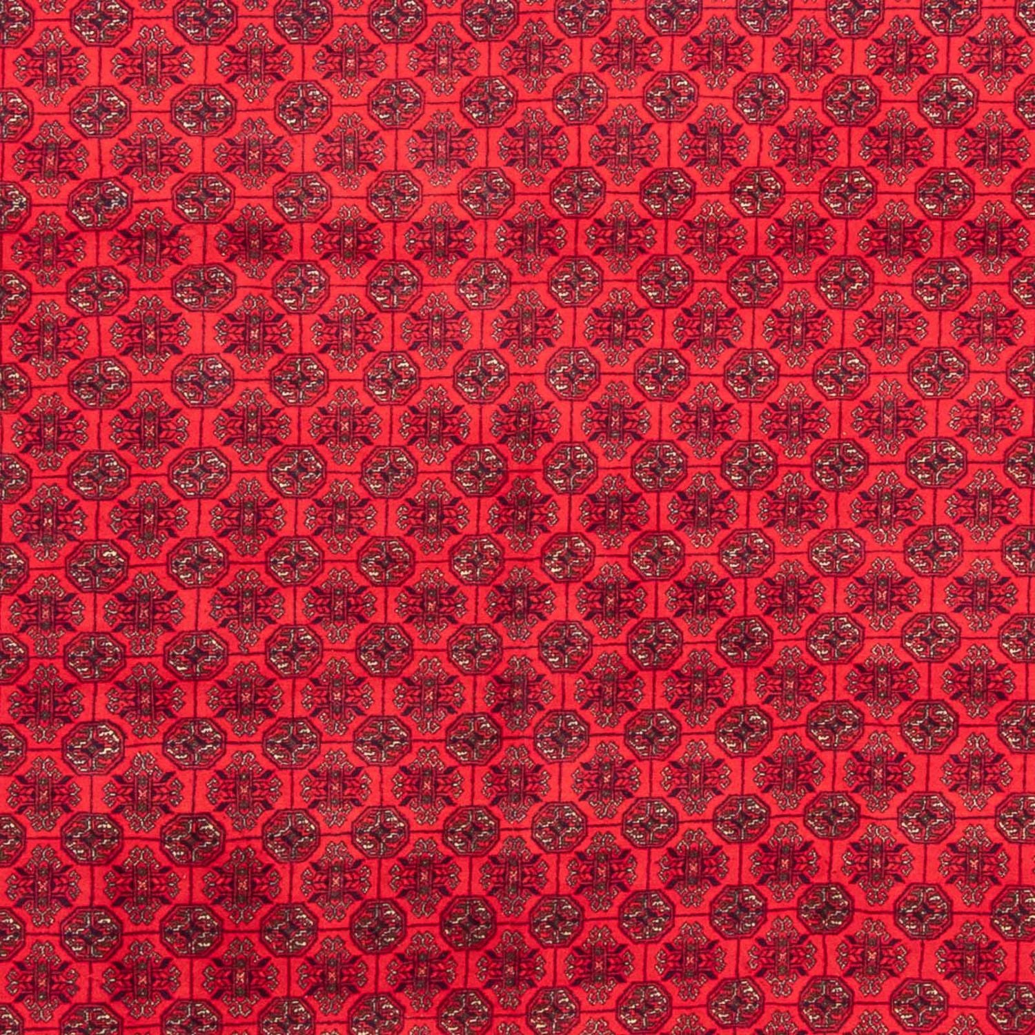 Afghansk tæppe - 289 x 200 cm - rød