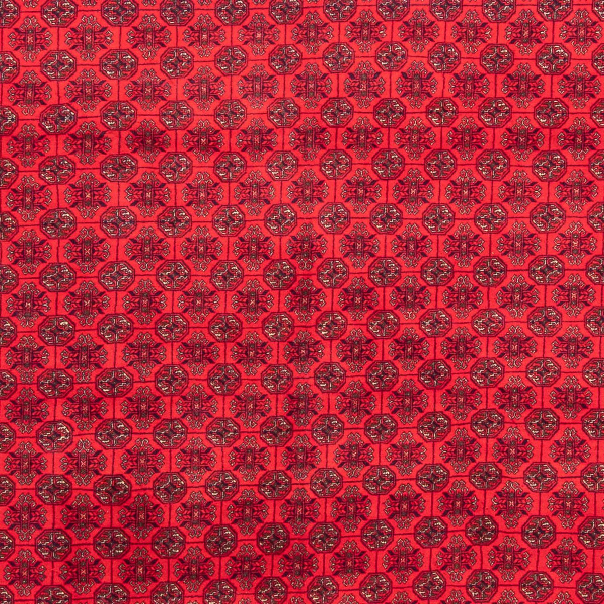 Afghansk tæppe - 289 x 200 cm - rød