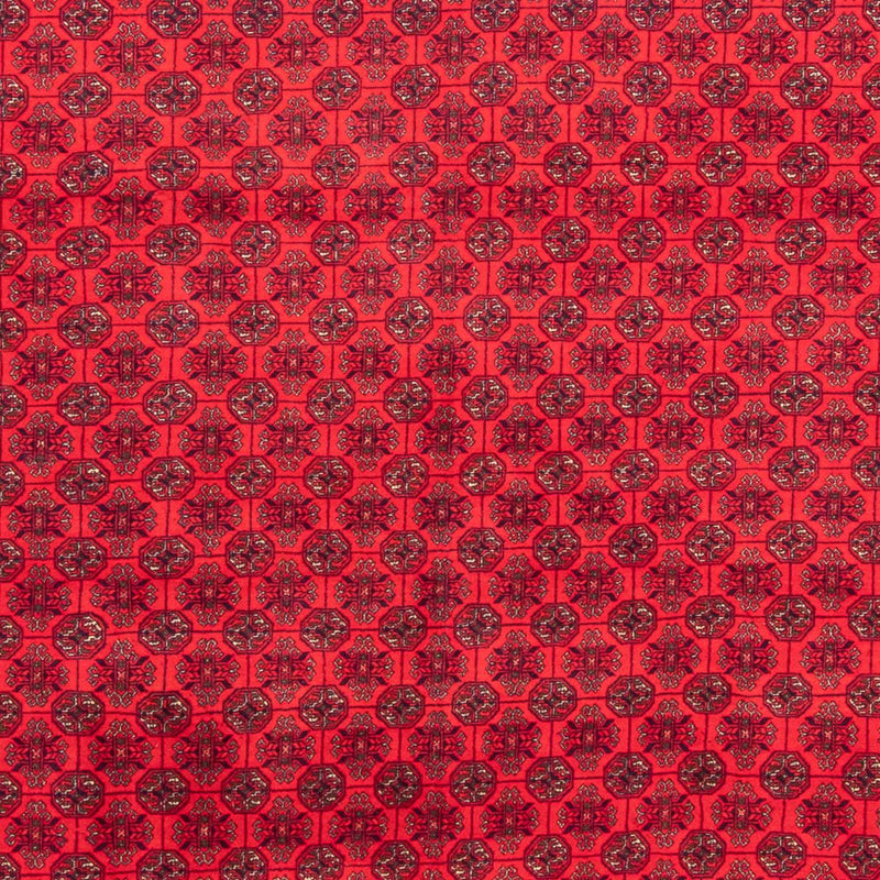 Afghansk tæppe - 289 x 200 cm - rød