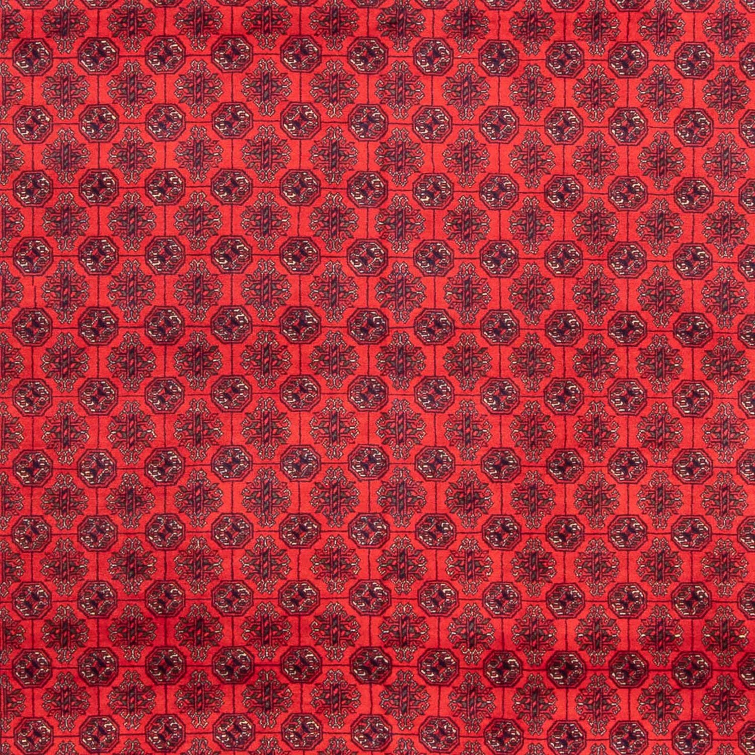 Afghansk tæppe - 387 x 298 cm - rød