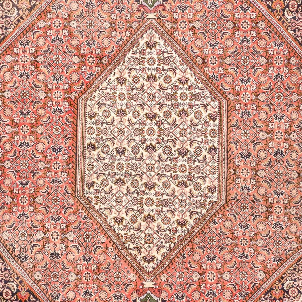 Persisk tæppe - Bijar - 287 x 198 cm - lysrød
