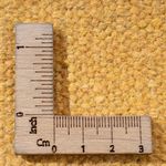 Kelim-tæppe - Trendy - 200 x 140 cm - flerfarvet